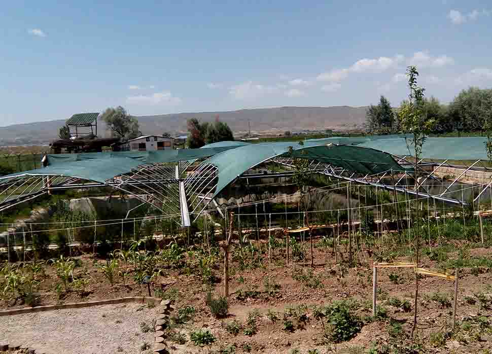 Lodos Sülük Satış